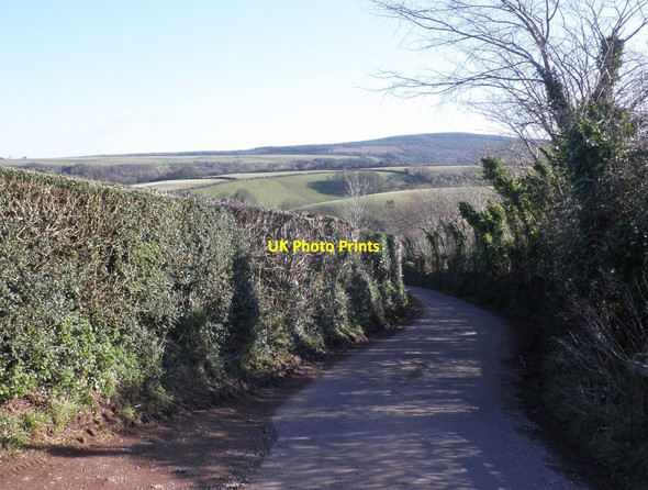 Photo 6"x4" Waydown Lane Cowbridge\/SS9542 c2013