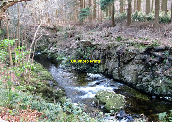 Photo 6"x4" View downstream on a section of the Shimna Gorge Newcastle\/J3732 c2013