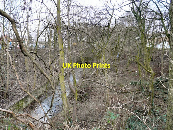 Photo 6"x4" A Glimpse of the Godley Brook Hyde\/SJ9494 c2013