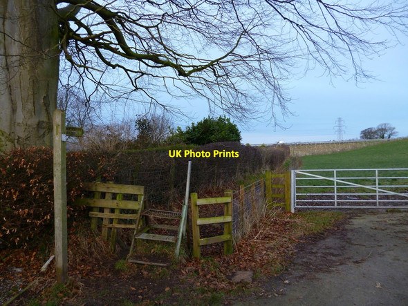 Photo 6"x4" Footpath to River Eden Carlisle c2013