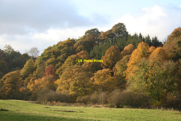 Photo 6"x4" Autumn colour Winster\/SK2460 c2012