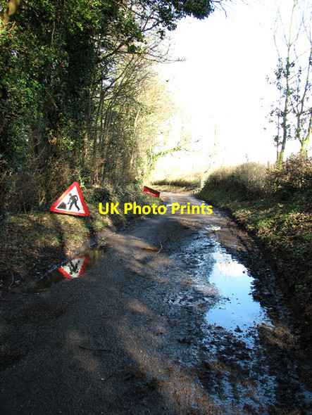 Photo 6"x4" Lock Lane past Nunnery Farm, Shipmeadow Shipmeadow c2013