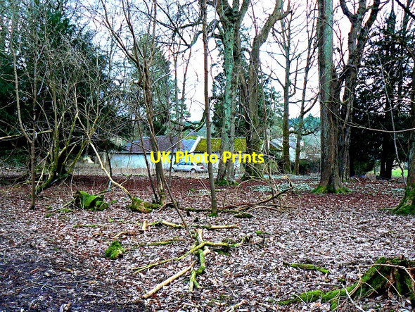 Photo 6"x4" Savernake Lodge, Savernake Forest The Warren\/SU2465 c2013