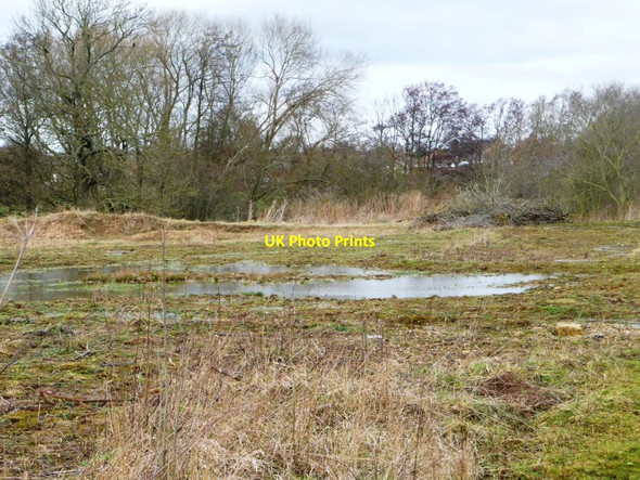 Photo 6"x4" Former quarry, north of Bar Lane Clifford\/SE4244 c2013