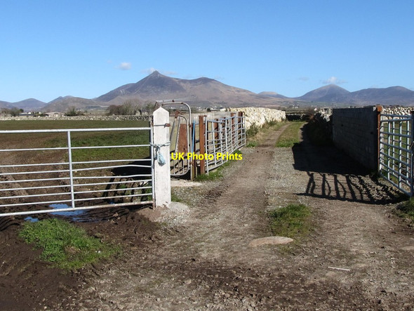 Photo 6"x4" Field access lane running north from Council Road Ballymartin c2011