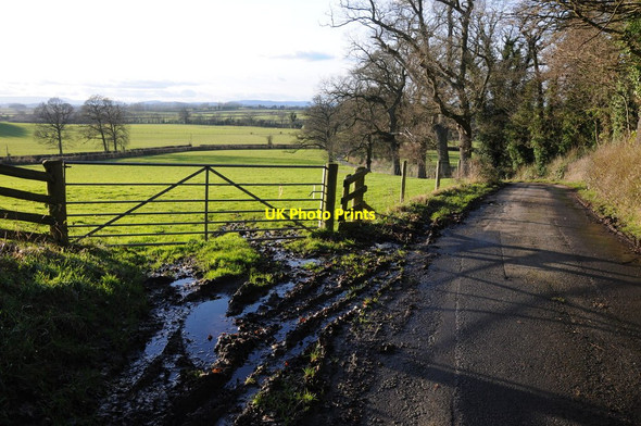 Photo 6"x4" Field entrance and road, Ocle Pychard Ocle Pychard c2013