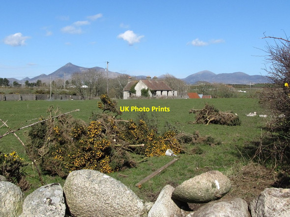 Photo 6"x4" Derelict cottage near the former fish farm Ballymartin c2011