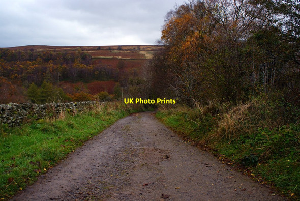 Photo 6"x4" Track leading down to Hynam Castle Carrock c2011