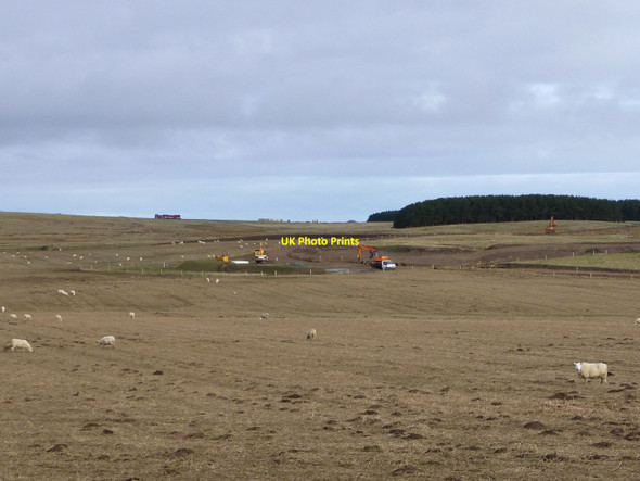 Photo 6"x4" Sheep grazing and road building North Charlton c2013