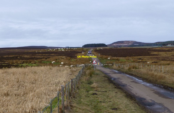 Photo 6"x4" Cattle grid  Foumart Knowe c2013
