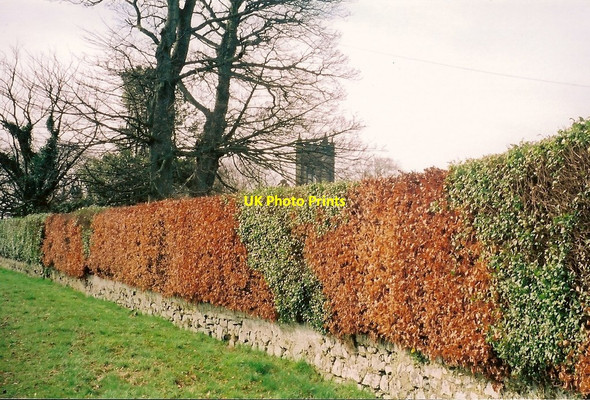 Photo 6"x4" Craig Parish Church Tower Montrose c2002