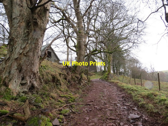 Photo 6"x4" Llwyn Yn, Pont ar Hydfer Cwmwysg c2013
