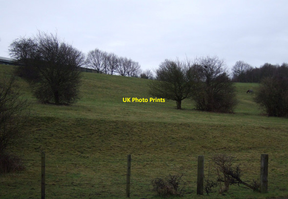 Photo 6"x4" Hillside grazing, Old Denaby Mexborough c2013