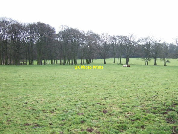 Photo 6"x4" Parkland, Ravenfield Hall Ravenfield c2013