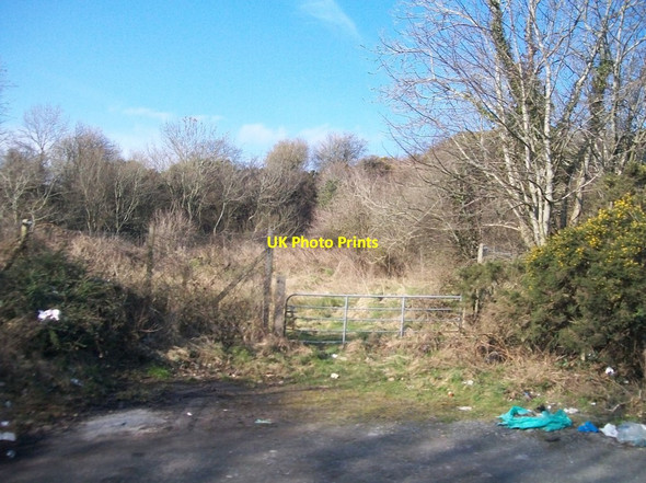 Photo 6"x4" The entrance to a disused quarry Mayobridge c2011