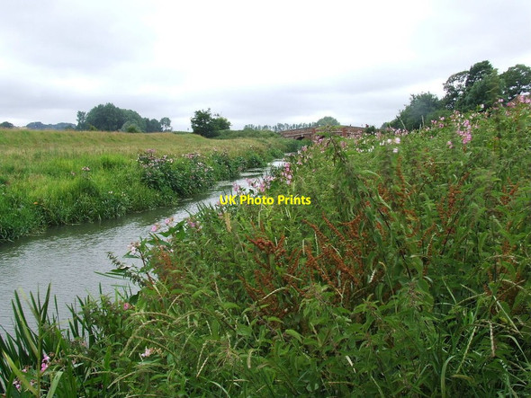 Photo 6"x4" River Rother near Bodiam Bridge Bodiam c2009