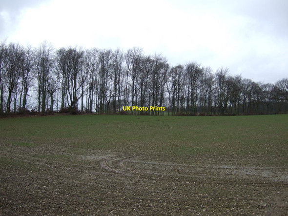 Photo 6"x4" Farmland towards Spry Wood Thurnscoe c2013