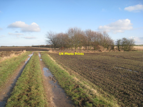 Photo 6"x4" Track and small plantation on Arnold Carrs Meaux c2013