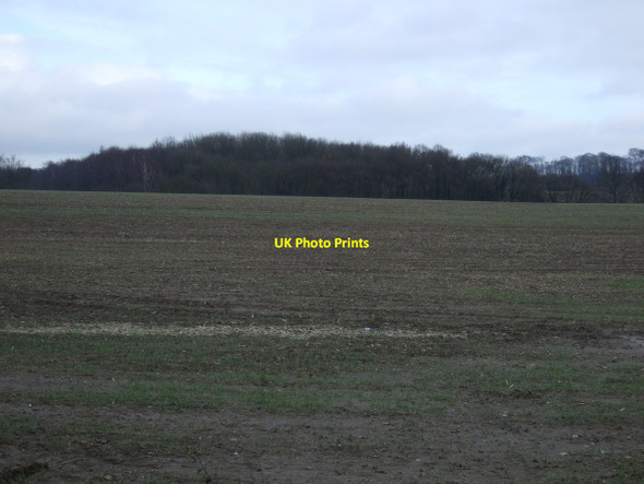 Photo 6"x4" Farmland towards Black Plantation Thurnscoe c2013