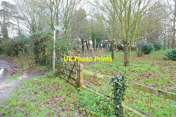 Photo 6"x4" Footpath near King's Manor Farm Norton Green\/SZ3488 c2012