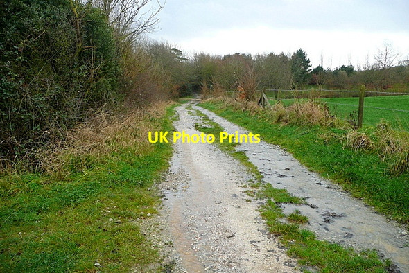 Photo 6"x4" Footpath to Freshwater Norton Green\/SZ3488 c2012