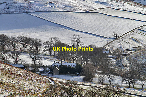 Photo 6"x4" Greenhill Farm Chatto c2013