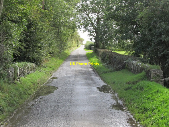 Photo 6"x4" Bridge over a minor stream on the Glebe Road Ballyhornan c2011