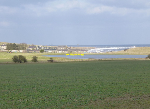 Photo 6"x4" Arable farmland near Low Newton-by-the-Sea Embleton\/NU2322 c2013
