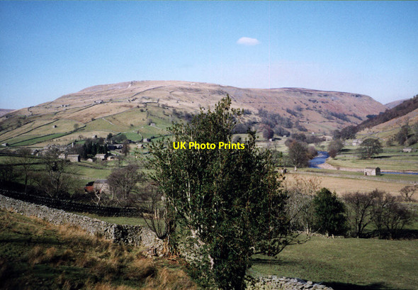 Photo 6"x4" Holly tree above Muker Muker c2002