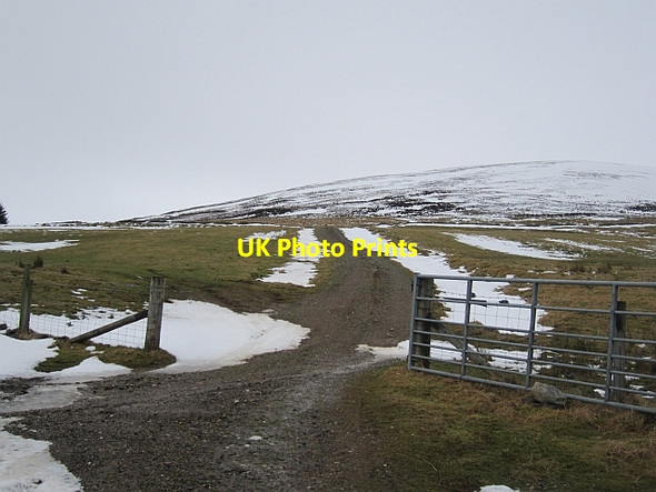 Photo 6"x4" Road up Black Hill Mill Burn\/NO4773 c2013