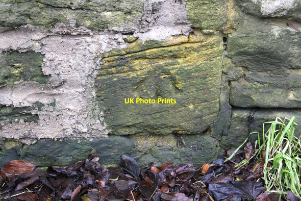 Photo 6"x4" Benchmark on wall of North Street Marcham c2013