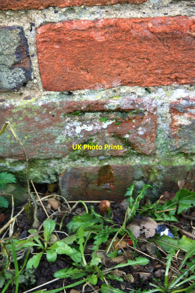 Photo 6"x4" Benchmark at Park End Barn Radley\/SU5298 c2013