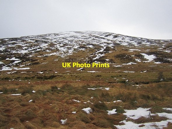 Photo 6"x4" Tussocky ground in Glen Lethnot Craig Duchrey c2013