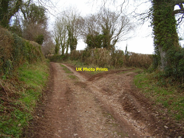 Photo 6"x4" Winter, Green Lane and Naps lane junction Burrow\/SY0789 c2013