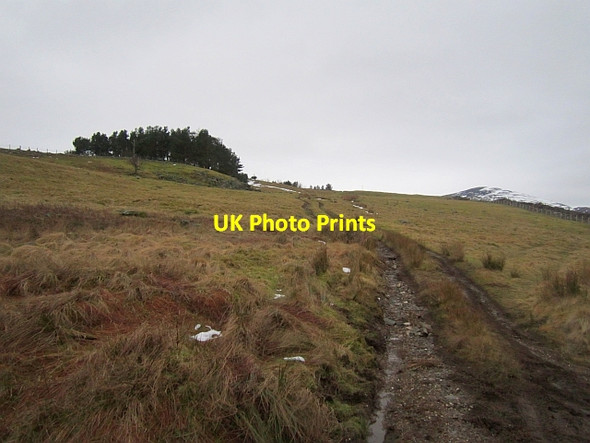 Photo 6"x4" Farm track, Glen Lethnot Bridgend\/NO5368 c2013