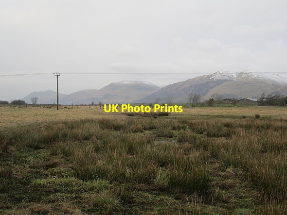 Photo 6"x4" A damp field Tillicoultry c2013