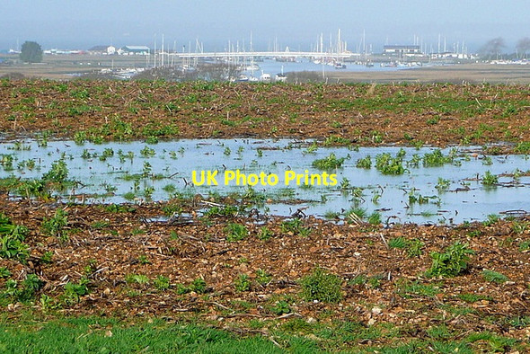 Photo 6"x4" Above the River Yar Norton Green\/SZ3488 c2012