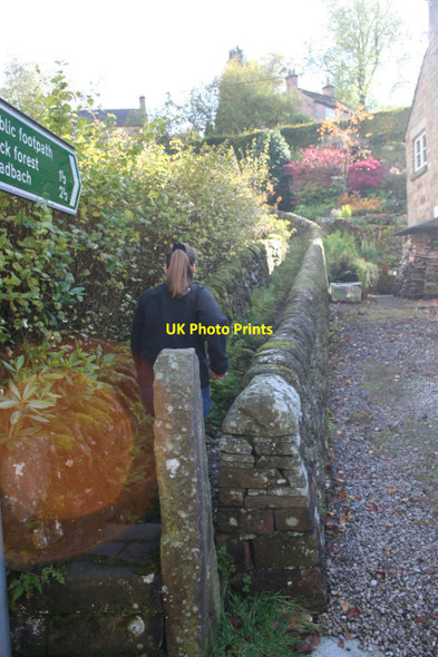 Photo 6"x4" Footpath to Back Forest Danebridge c2012