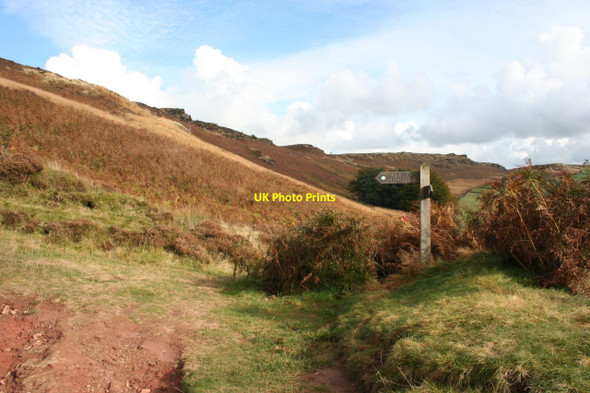 Photo 6"x4" Footpath junction near the Hanging Stone Allgreave c2012