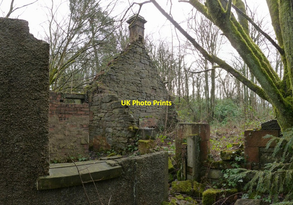 Photo 6"x4" Remains of the West Lodge Cardross\/NS3477 c2013