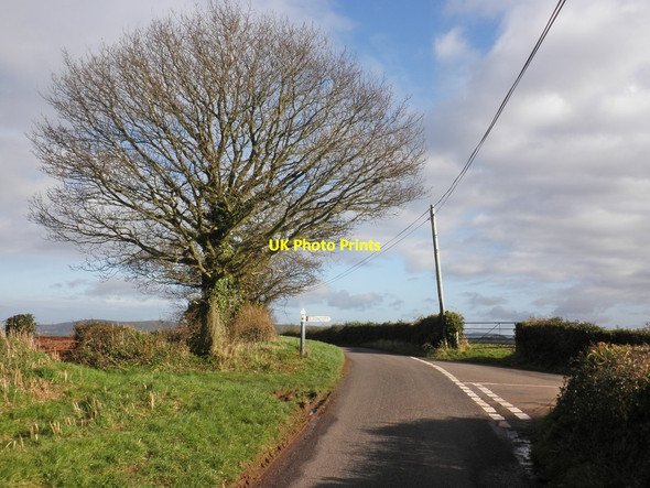 Photo 6"x4" Turning for Golsoncott Golsoncott c2013