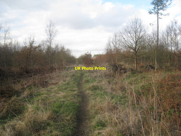 Photo 6"x4" Path on Walesby Moor Market Rasen c2013