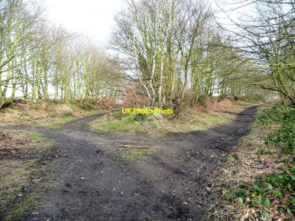 Photo 6"x4" Former railway junction, Athersley North Royston\/SE3511 c2013