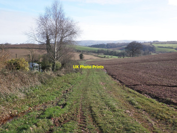 Photo 6"x4" Farmland near Egypt Cottages Beggearn Huish c2013