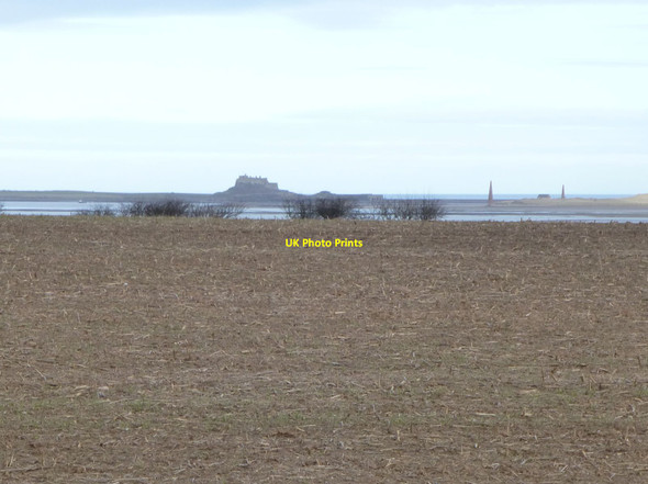 Photo 6"x4" Stubble field Elwick\/NU1136 c2013