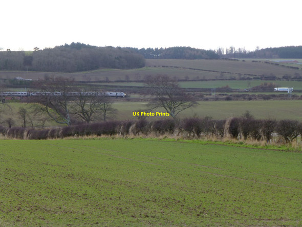 Photo 6"x4" Over-wintering crop near Elwick Elwick\/NU1136 c2013