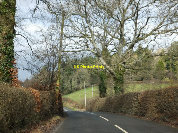 Photo 6"x4" Warmore Wood seen from A396 Brushford\/SS9225 c2013