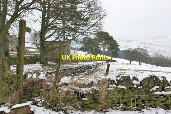 Photo 6"x4" The path to Highlow Wood Leadmill\/SK2380 c2013