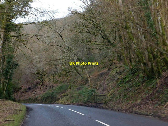 Photo 6"x4" Old track into Barlynch Wood Bury\/SS9427 c2013