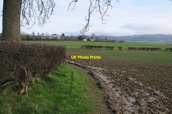 Photo 6"x4" Footpath near Whaddon Lower Tuffley c2013